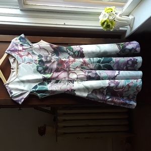 Ted Baker size 2 watercolor print dress